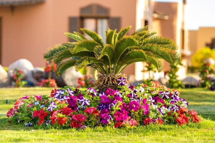 garden plants